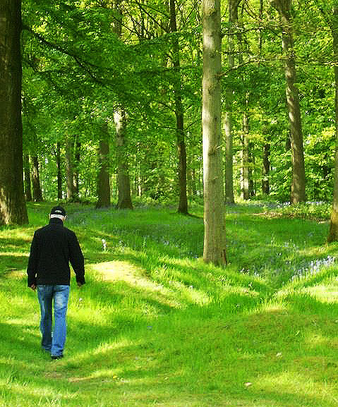 Treading where once, nothing grew